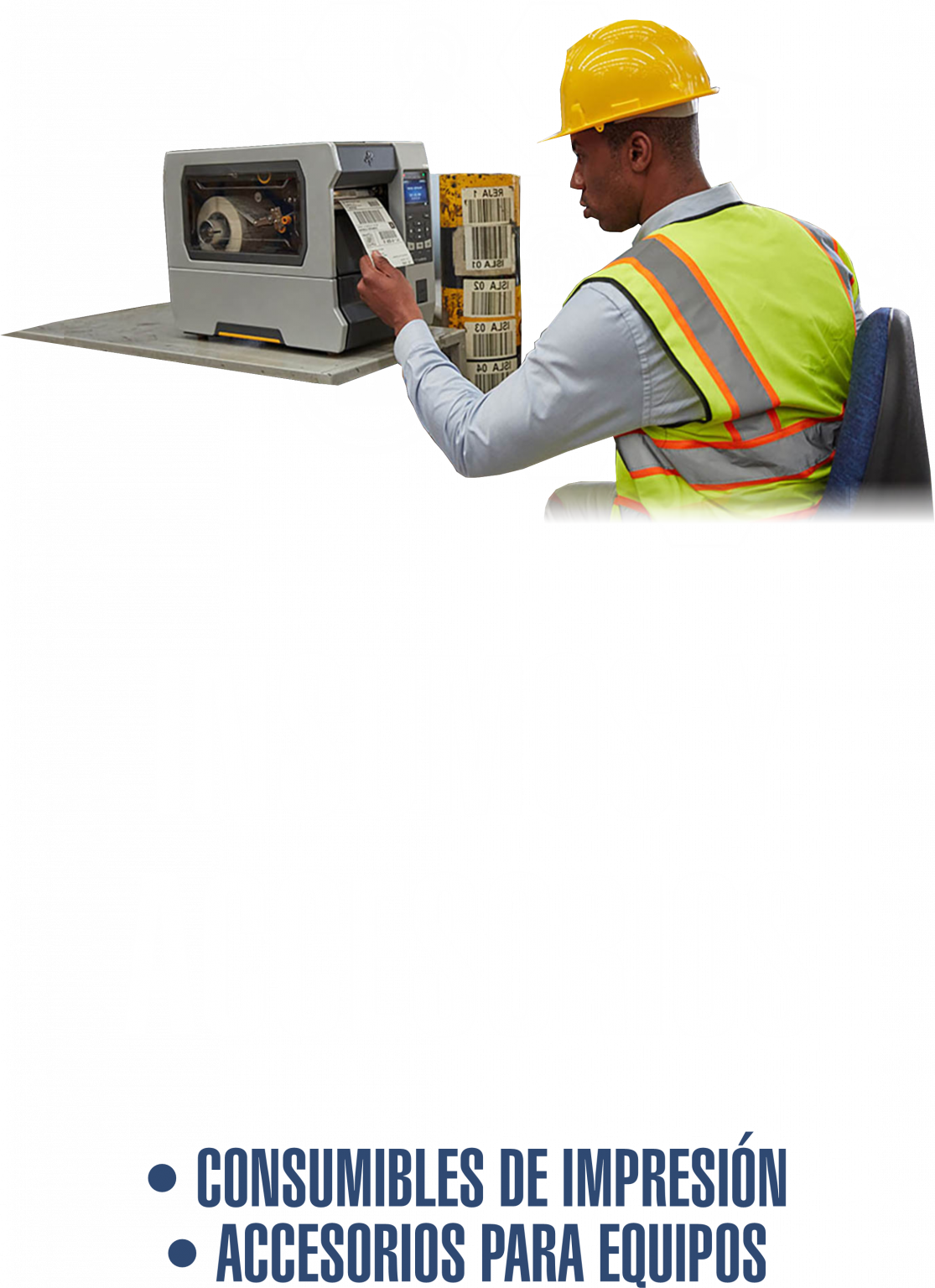 INSUMOS