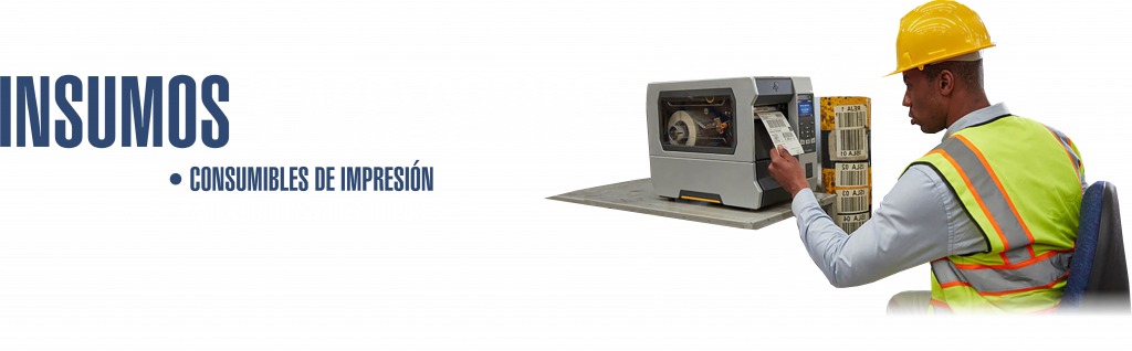 INSUMOS Y ACCESORIOS