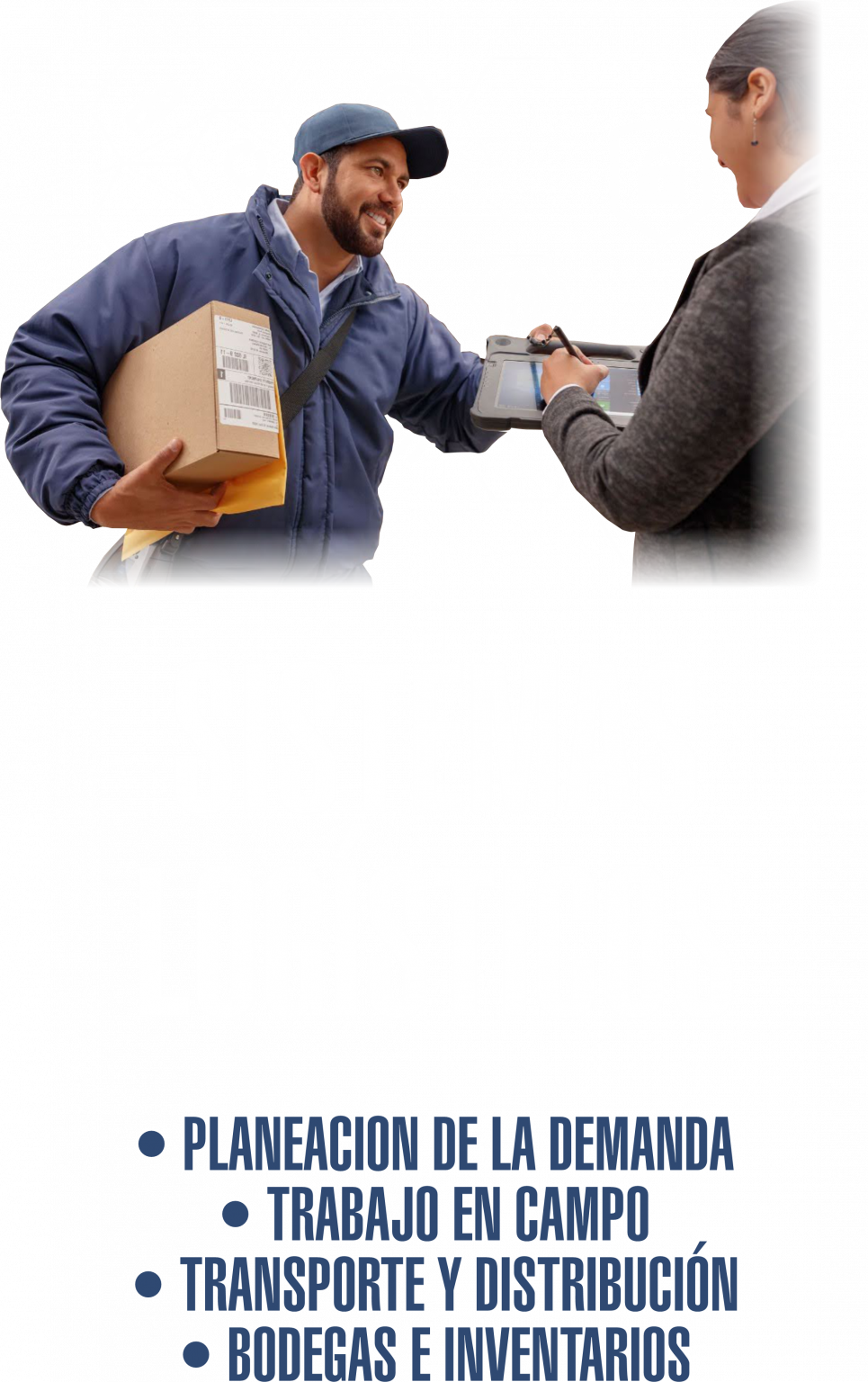 SERVICIOS TECNOLOGICOS
